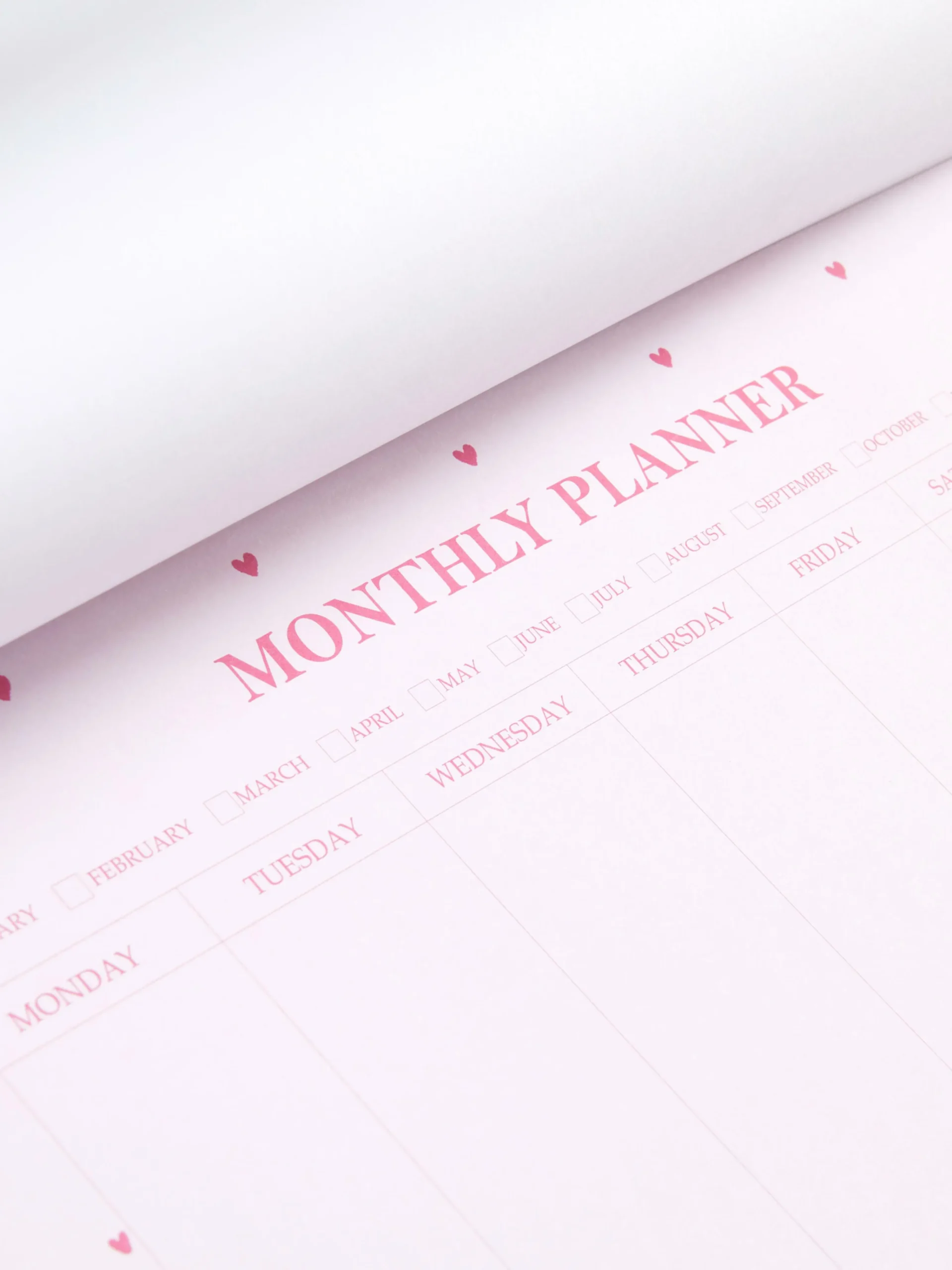 Primark Blocos De Notas^Agenda Mensal A4 Padrão Coração