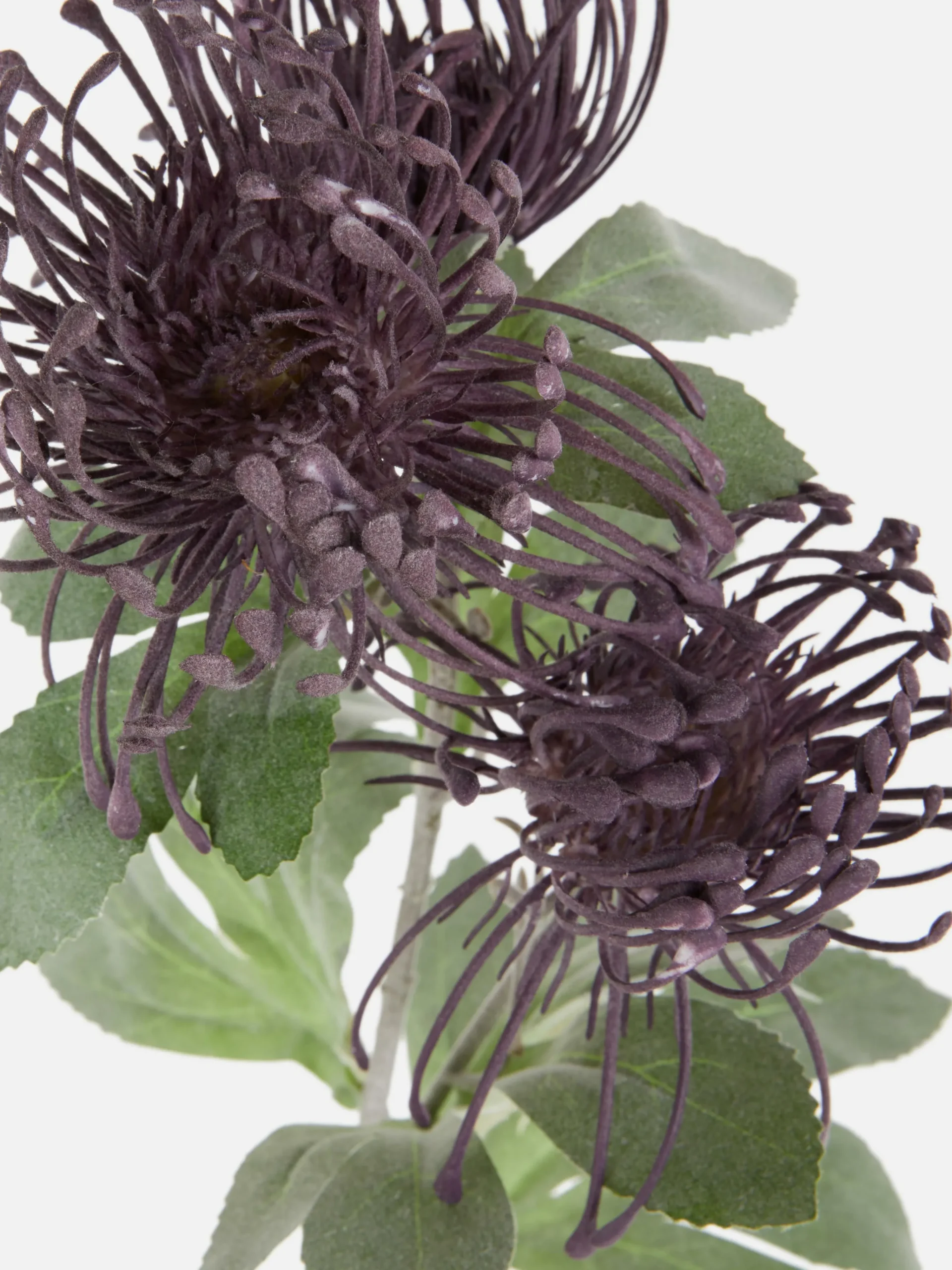 Primark Flores E Plantas Artificiais^Cardo Artificial Haste única