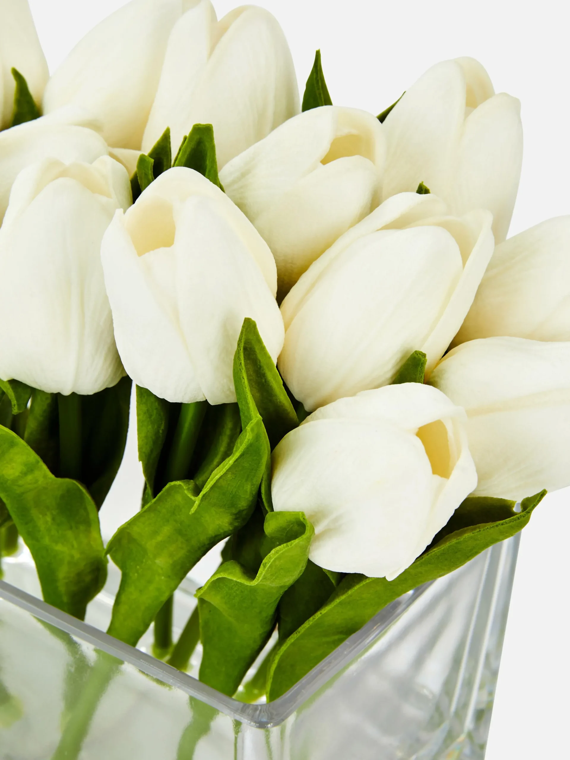 Primark Vasos E Suportes Para Plantas^Tulipas Artificiais Jarra Vidro Retangular